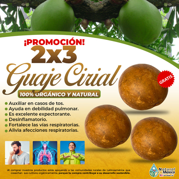 Guaje Cirial 2 Bolas Guaje Cirian / Jícara / Huaje cirial y Tecomate 1 BOLA GRATIS
