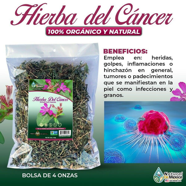Hierba de la calavera trata infecciones de la piel y granos 4 oz.