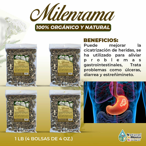 Milenrama Herbal/Tea 1 Lb-453g (2/4 oz) Yarrow Flowers, Digestive Health Support