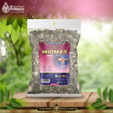 Compuesto Herbal Miomas 4 Oz Miomas Ovaricos y Uterinos