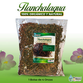 Tlanchalagua Herbal Tea 4 oz-113g Mexican Herb