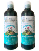 2 Pack Shampoo de Bergamota Organico con Moringa y Romero Shampoo 16 Fl Oz Enriquecido Premium Quality