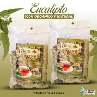 Hojas de Eucalipto Té 8 oz-227g (2/4) Eucalyptus Leaves