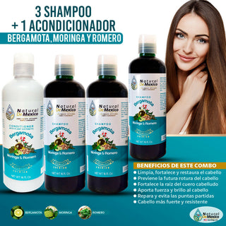 3 Shampoo and 1 Bergamot, Moringa and Rosemary Conditioner 16 oz. each Hair Wellness
