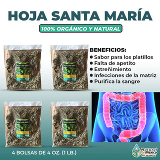 Hoja Santa Maria Hierba 4 / 4 Oz. 113Gr. Falta de Apetito Estrenimiento