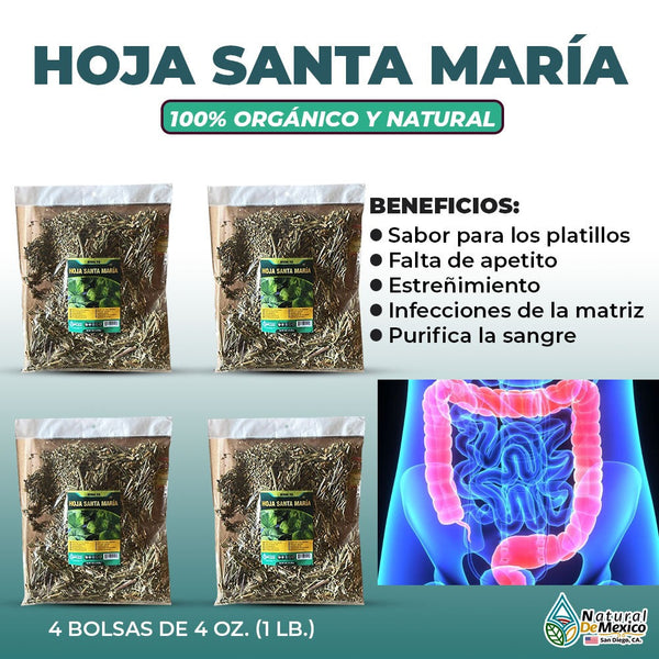 Santa Maria Herb Leaf 4 / 4 Oz. 113gr. Lack of appetite Constipation