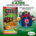 5 Garlic Natural Supplement Reinforced with Ginkgo Biloba 90 Garlic Tabs.
