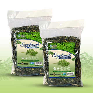 Artemisa Herbal/Tea 8 oz-227g. (2/4 oz) Mugwort Mexican Herb