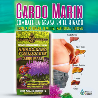 Cardo Mariano Suplemento Natural 90 Tabs. Liver Support Premium