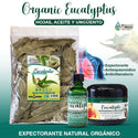 Eucalyptus Leaves Combo 4 oz. Oil 2 oz. and Ointment 2 oz. Natural Expectorant