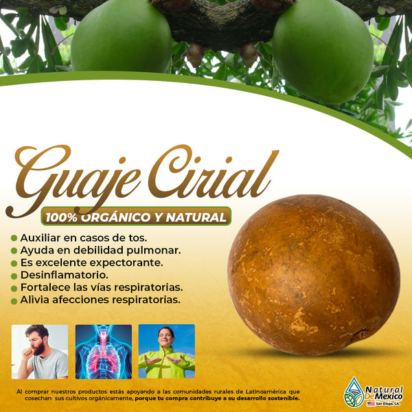 Guaje Cirial Bola de Cirian Guaje Cirian Mexican Herb Natural from Mexico