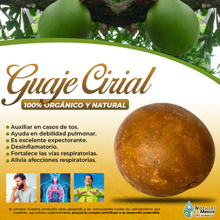 Guaje Cirial 1 Bola Guaje Cirian / Jícara / Huaje cirial y Tecomate