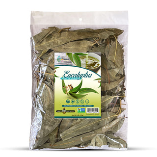 Hojas de Eucalipto Herb Tea 4 oz. 113gr. Eucalyptus Leaves Organic Dried Cut