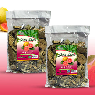 Hojas de Guayaba 8 oz-227g (2/4 oz) Guava Leaves