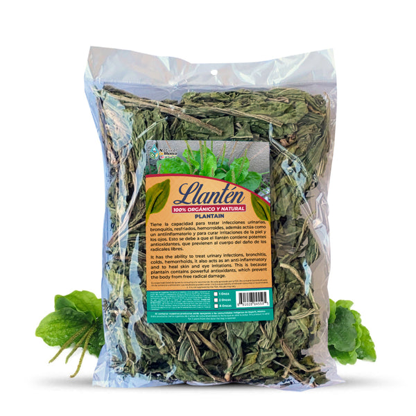Hojas de Llanten Herb Tea 4 oz. 113gr. Plantago Mayor Plantein