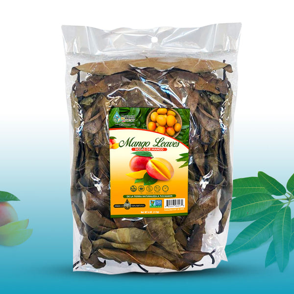 Hojas de Mango 4 oz-113g Mango Organic Leaves