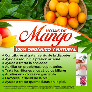 Hojas de Mango 4 oz-113g Mango Organic Leaves