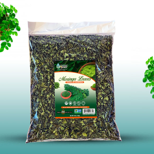 Hojas de Moringa Herbal Tea 4 oz-113g Dried Loose Moringa Leaves