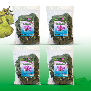 Hojas de Pata de Vaca Cow’s Foot Leaves 1 Lb-453g (4/4 oz) Natural Glucose Support