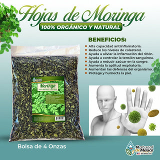Hojas de Moringa 4 oz. 113 gr. Moringa Oleifera
