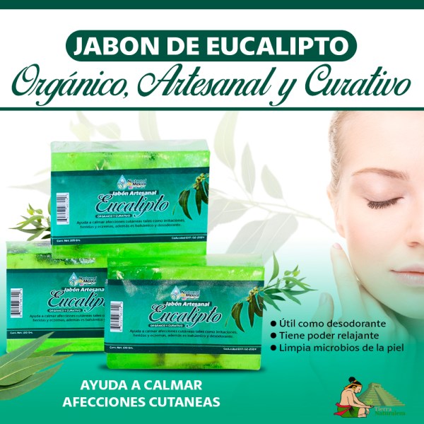 Jabón de Eucalipto 100% Natural Hecho a Mano Pack de 3