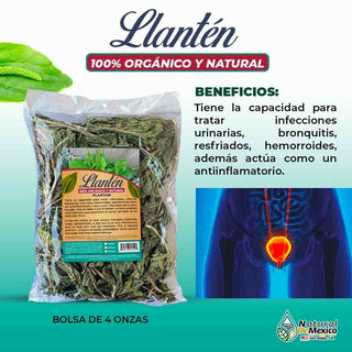 Hojas de Llanten Hierba Tea 4 oz. 113gr. Plantago Mayor Plantein