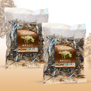 Raíz de Matarique Tea 8 oz-227g (2/4 oz) Herbal Mexican Root