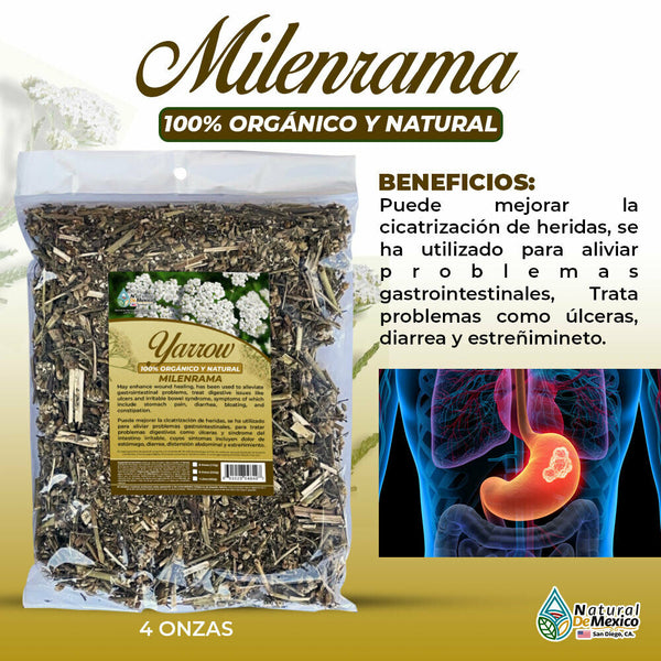 Milenrama Hierba Tea 4 oz. 113 gr. Organic Yarrow Flowers