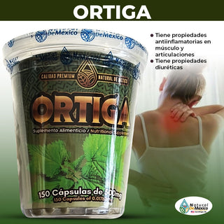Ortiga 150 Capsulas Porpiedades Antiinflamatorias Musculo y Articulaciones Propiedades Diureticas