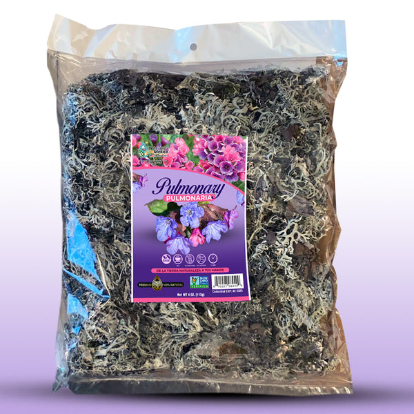Pulmonaria Herb Tea 4 oz. 113 gr. Mexican Lungwort Herbs Tea