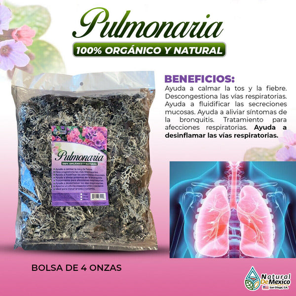 Pulmonaria Hierba Tea 4 oz. 113 gr. Pulmonary Lungwort