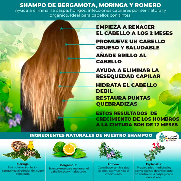 Shampoo Bergamota Moringa y Romero Combo de 3