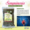 Sanguinaria Herb Tea Bloodroot 4 oz. 113gr. Canadensis Heart Support
