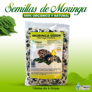 Moringa Seeds Moringa Semillas 4 oz-113g Auténticas de la India