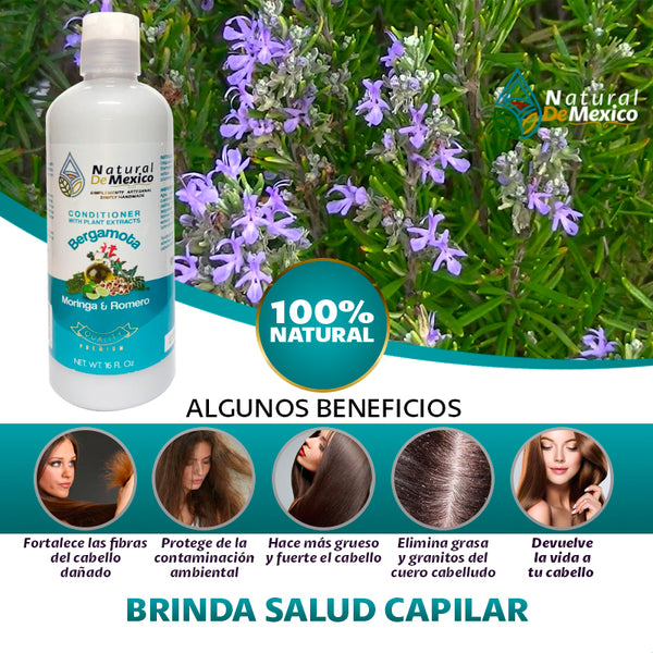 Acondicionador Bergamota Moringa y Romero Gratis 1 Serum