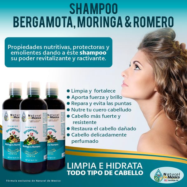 Shampoo Bergamota Moringa y Romero Combo de 3