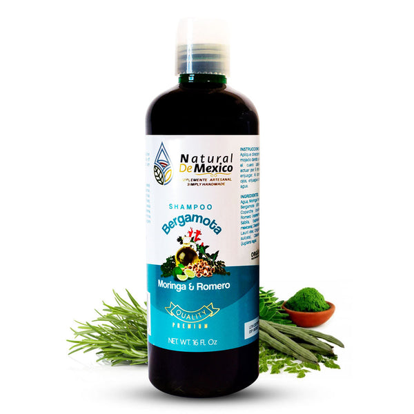 Bergamot, Moringa and Rosemary Shampoo 16 oz. Hair Wellness