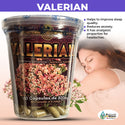 Valeriana 150 Capsulas Ayuda a Mejorar Calidad del Sueño Propiedades Analgesicas Dolor de Cabeza