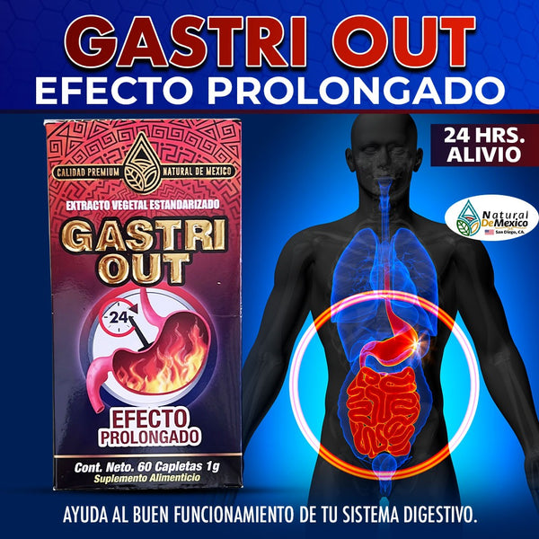 Gastri Out Suplemento Natural 60 Cápsulas Efecto Prolongado