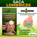 Suplemento Lombrices Y Parasitos Ayuda con Problemas Intestinales y Parasitos