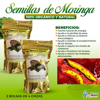 Semillas de Moringa Oleifera Autenticas de la India  (2 de 4oz) - 453 gramos