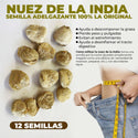 Nuez de la India Slimming Seed 100% Natural 12 Seeds