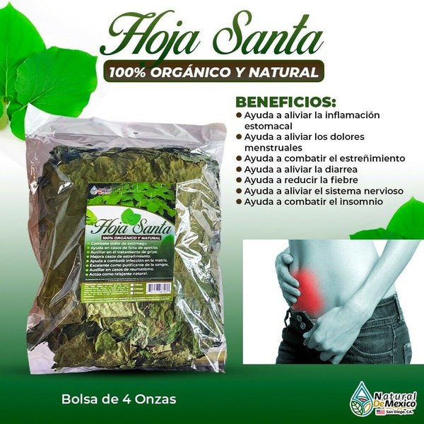 Hoja Santa Hierba Santa Live Root Beer Plant -Inflamación estomacal 4 onzas-113g