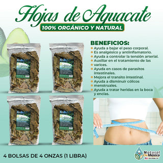Hojas de Aguacate 1 Lb-453g (4/4 oz) Avocado Leaves InfusionTea Natural Slimming