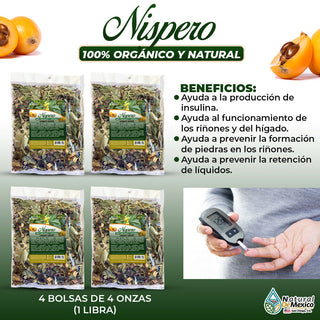 Nispero Loquat leaves productor natural de insulina 1 Libra (4 de 4 oz) - 453g.