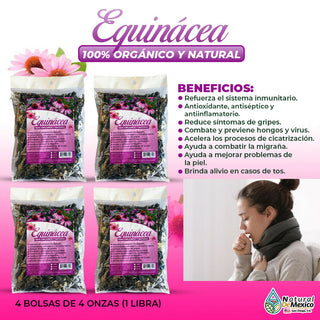 Equinacea Herbal 1 Lb-453g (4/4 oz) Echinacea Purpurea, Health to Immune Support