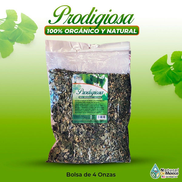 Prodigiosa Prodijiosa Siempre Viva ayuda a regular niveles de azucar 4onzas-113g