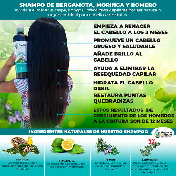 2 Shampoos, 1 Conditioner, 1 Serum of Bergamot, Moringa and Rosemary Hair Health