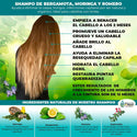 2 Shampoos, 1 Conditioner, 1 Serum of Bergamot, Moringa and Rosemary Hair Health