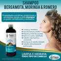 2 Shampoos, 1 Conditioner, 1 Serum of Bergamot, Moringa and Rosemary Hair Health